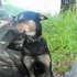 這隻軍犬「睏到不行」卻盡責不敢睡的超萌畫面...網友看了全笑翻！！(附影片)