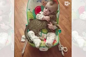 讓寶寶和貓咪一起玩，沒想到偷看時...完全讓馬麻感動融化呀 <3 （影片）