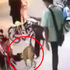 男子無冤無故踹浪浪！下一秒狗狗竟然...網友笑噴：惹錯汪了！！