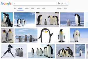 用Google查詢「企鵝」後，其中有一個超有事的結果讓網友笑炸啦！