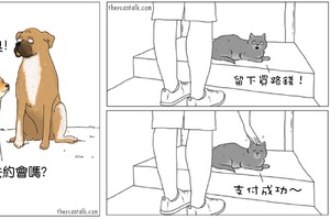 如果動物們會說話：【Part 3】！這9張「牠們會說什麼」的插畫真的是又貼切又好笑！