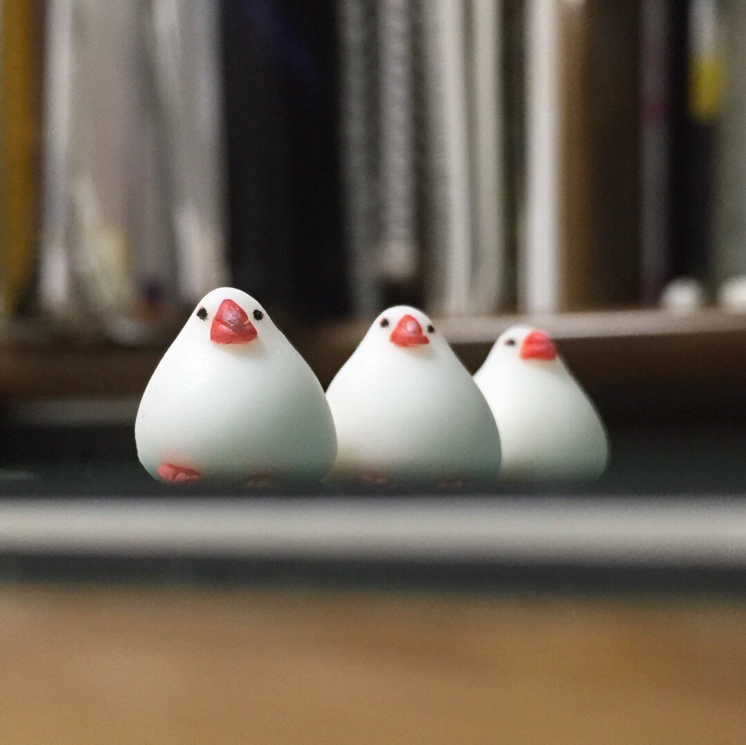 超迷你白文鳥 網友手做仿真鳥寶模型 聖誕版草莓大福 真的萌