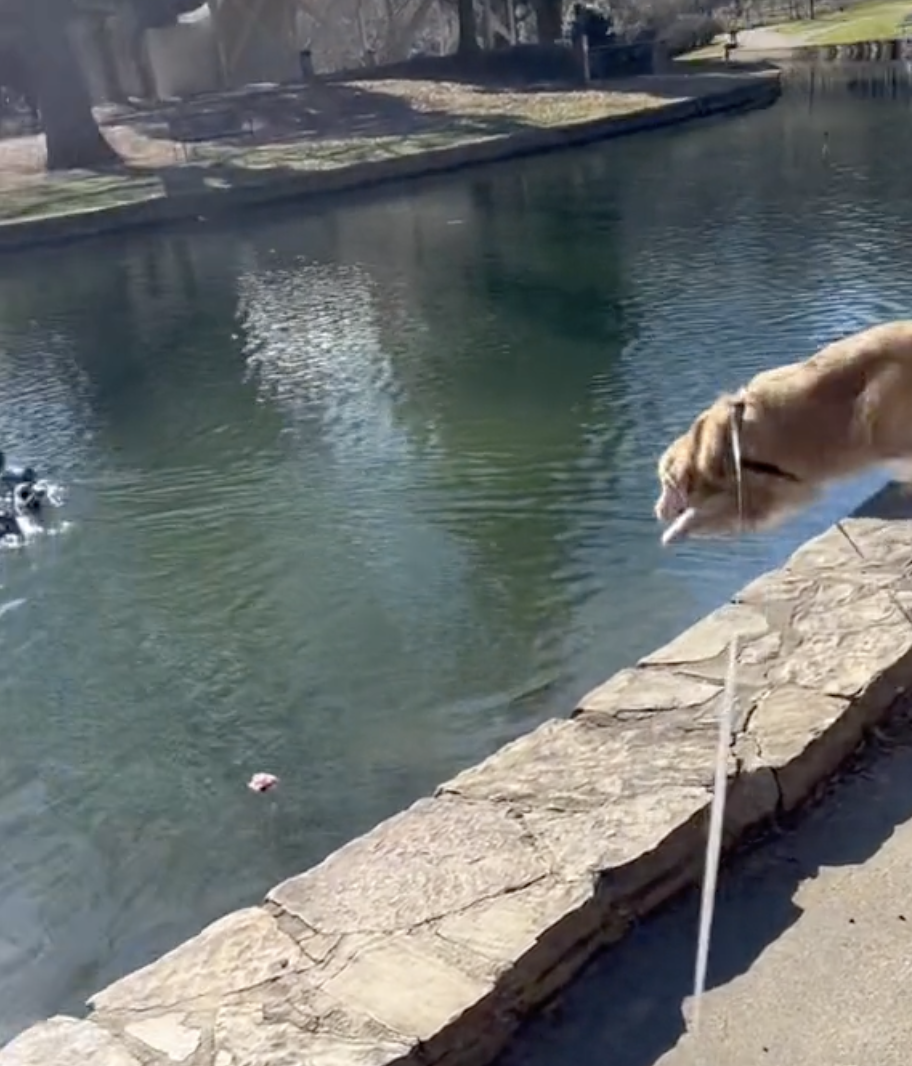 TikTok/ @ winthegolden 