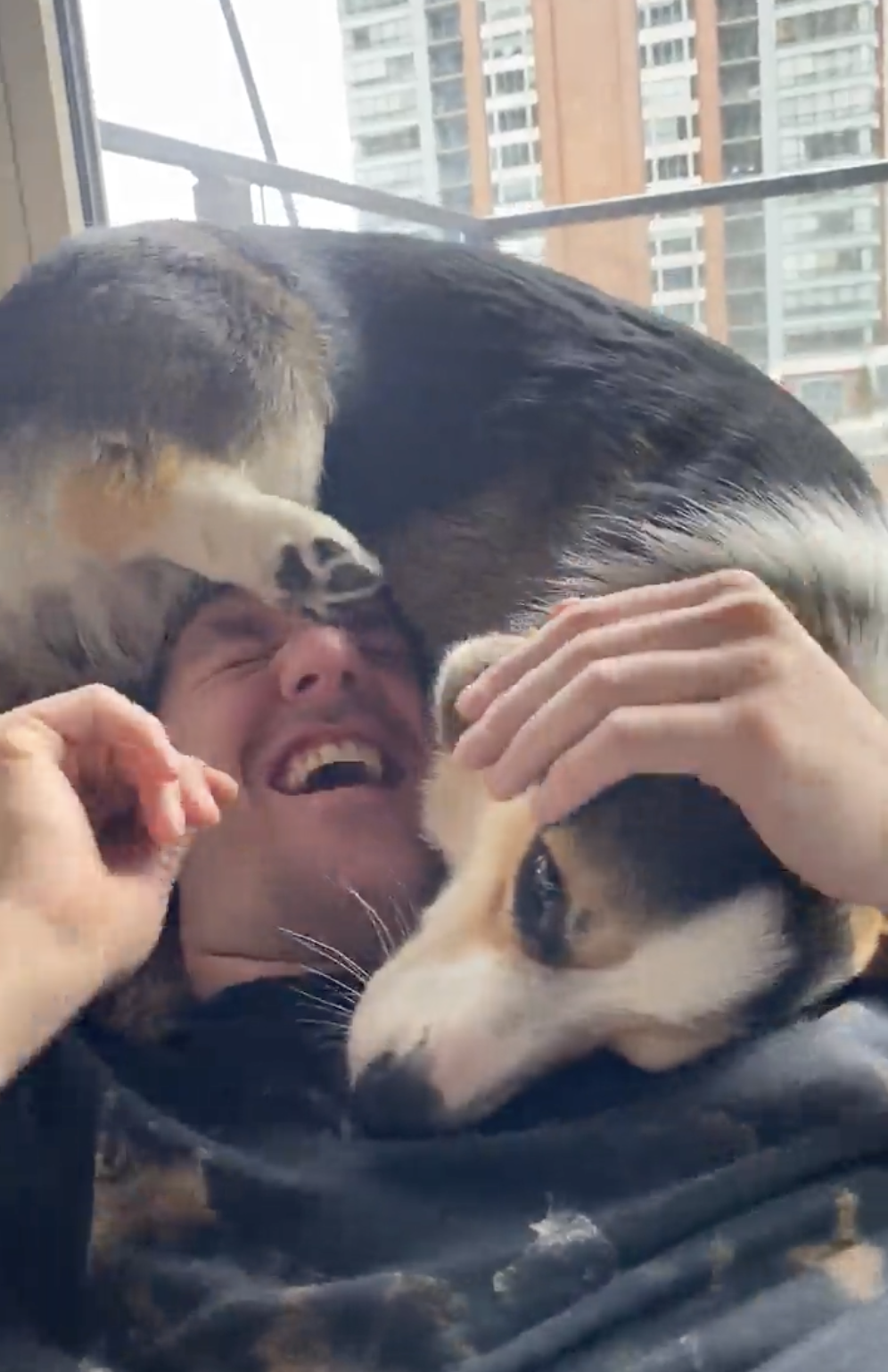 INSTAGRAM/BRADYTHECORGI 