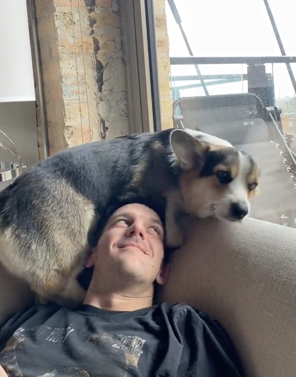 INSTAGRAM/BRADYTHECORGI 