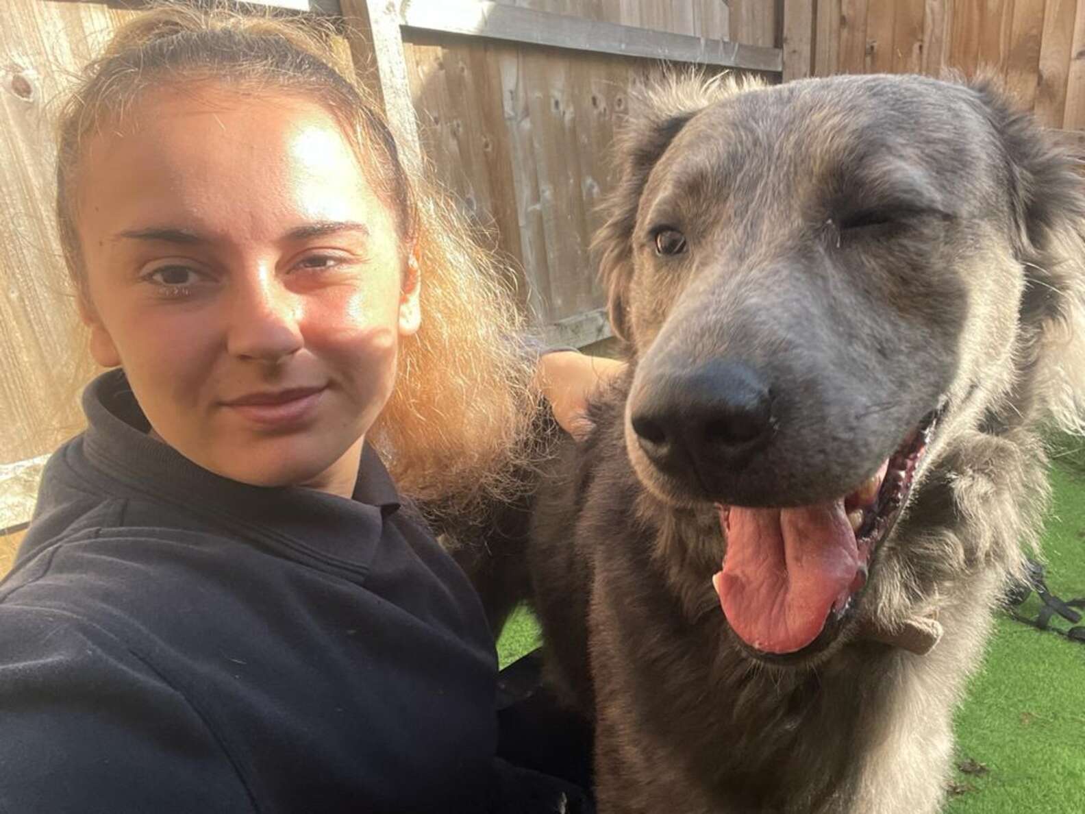 RSPCA