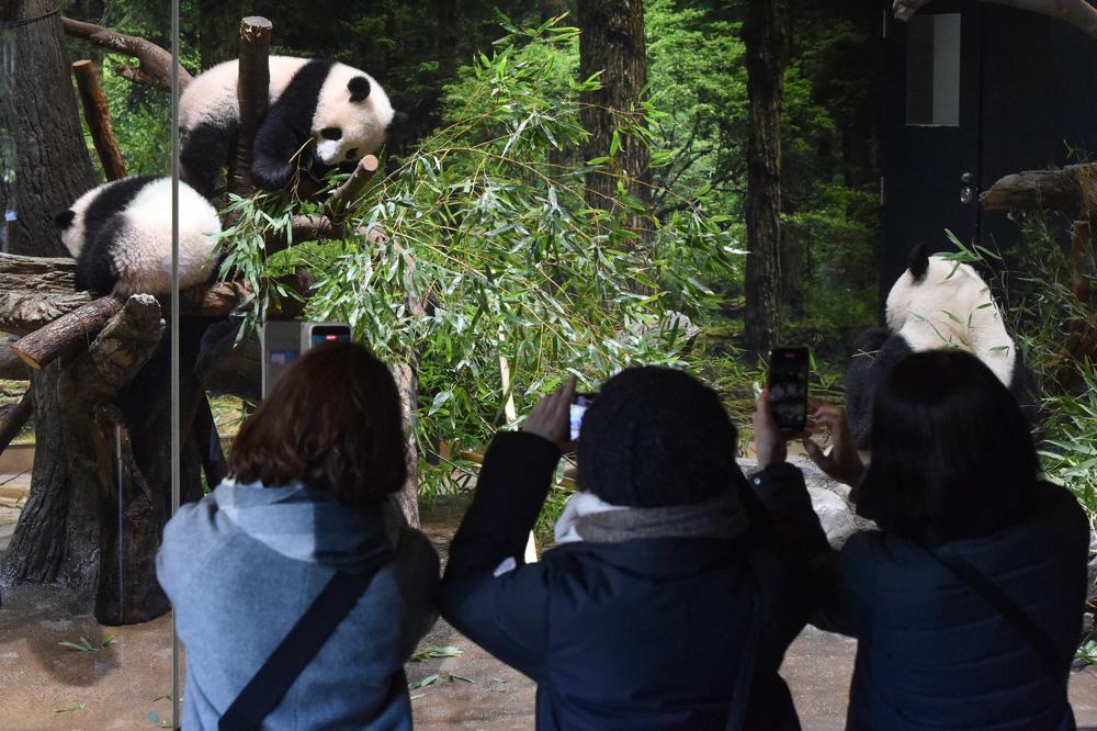 Tokyo Zoological Park Society