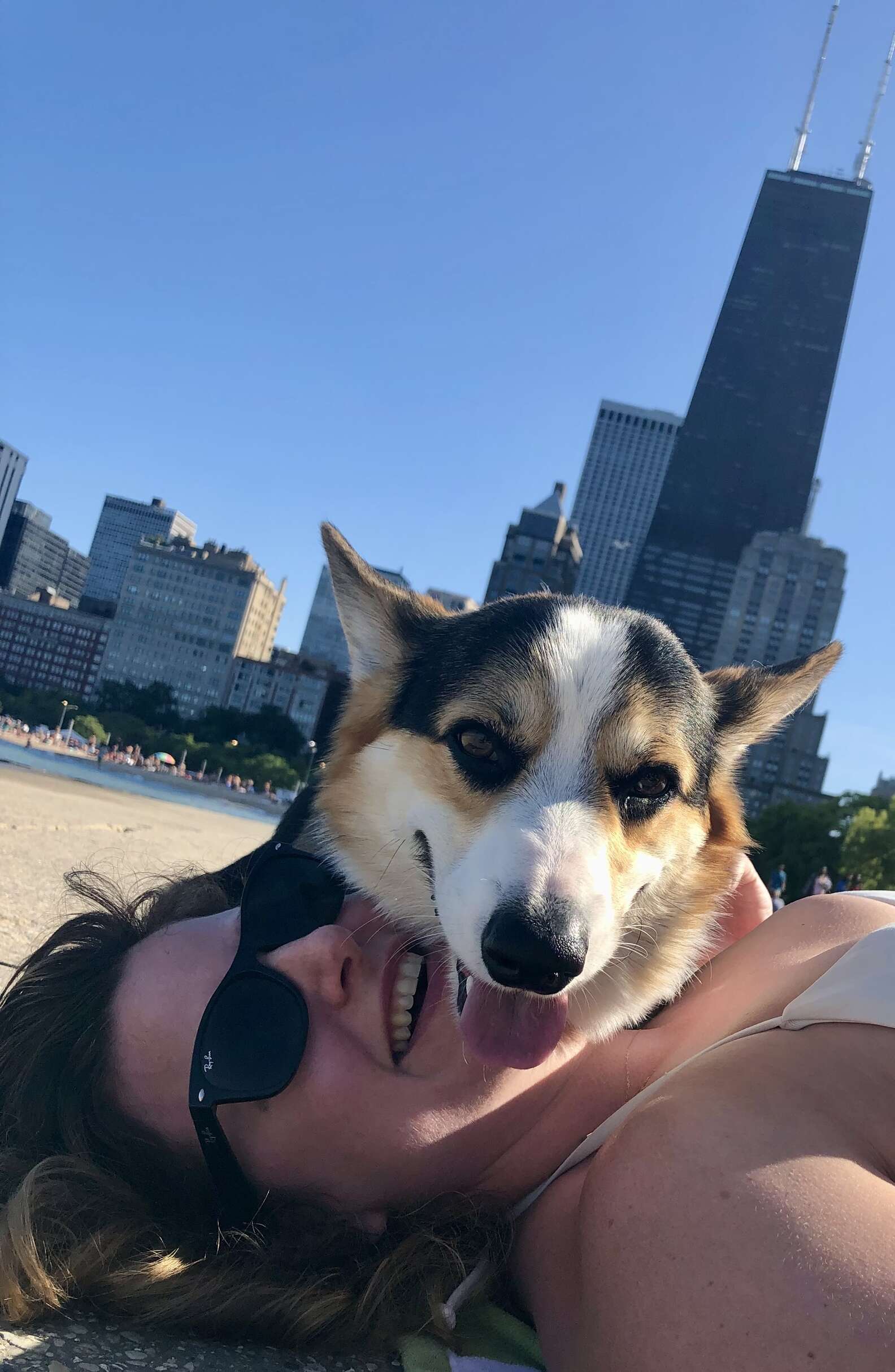 INSTAGRAM/BRADYTHECORGI 