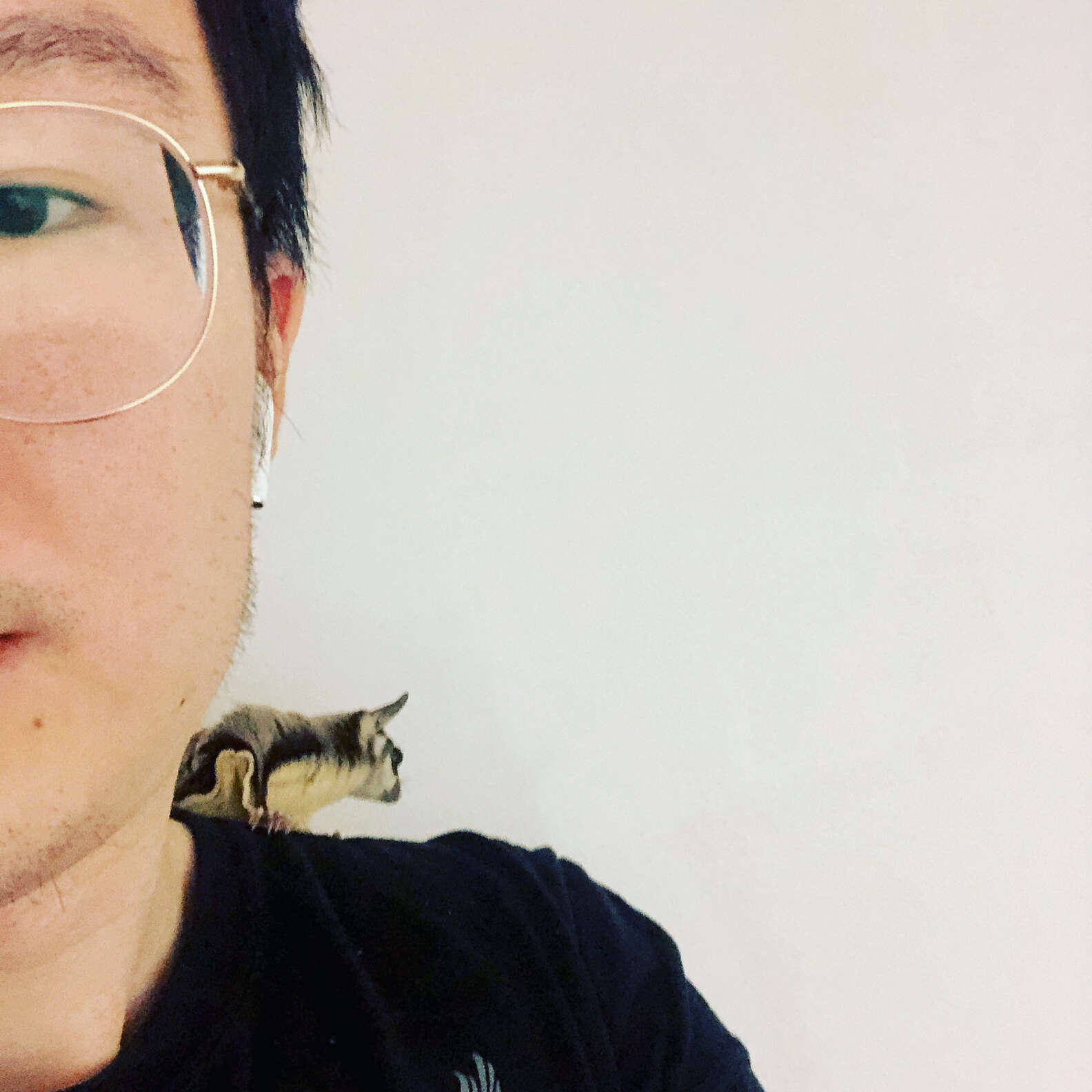 JOHN ZOU