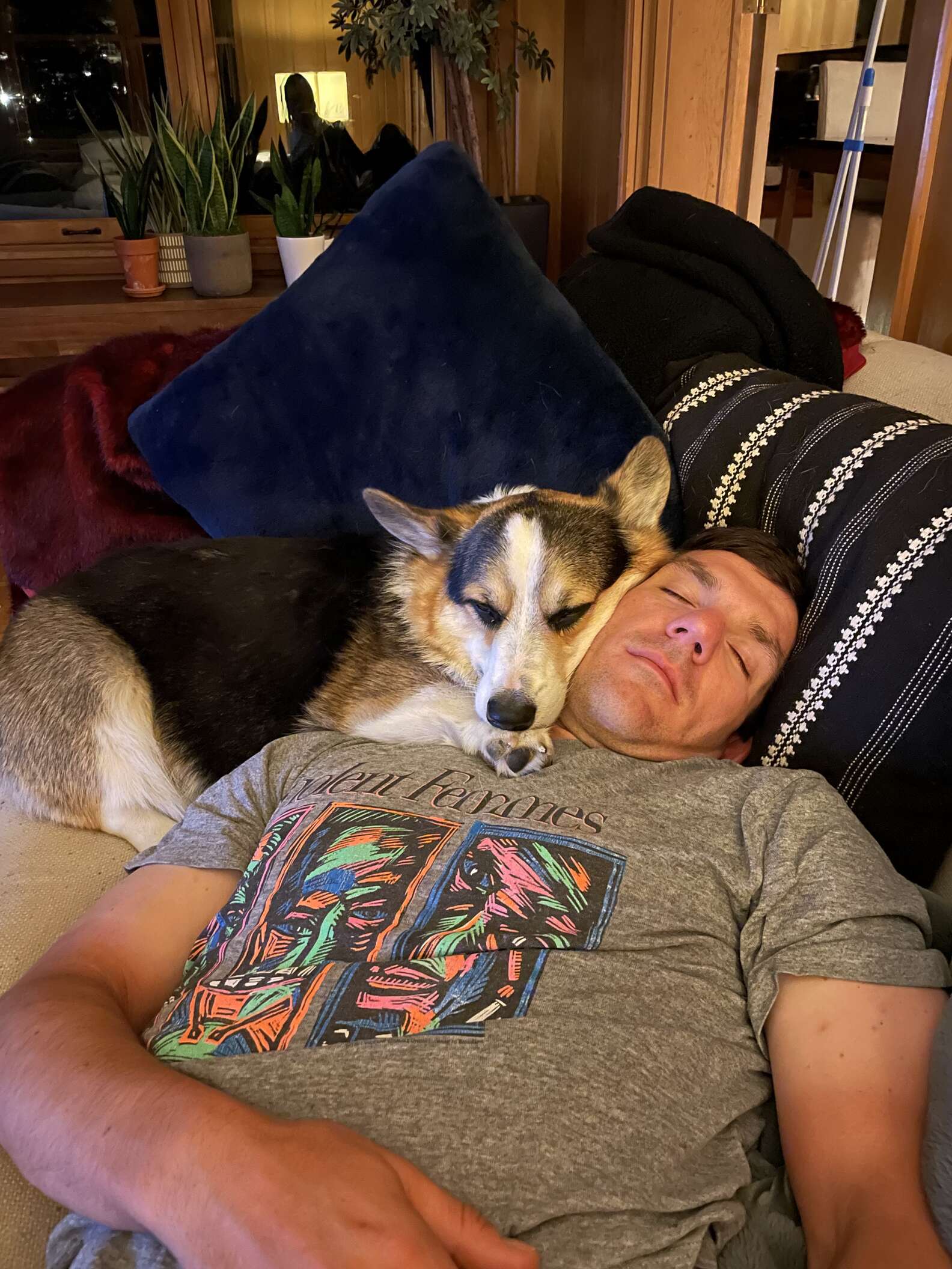 INSTAGRAM/BRADYTHECORGI 