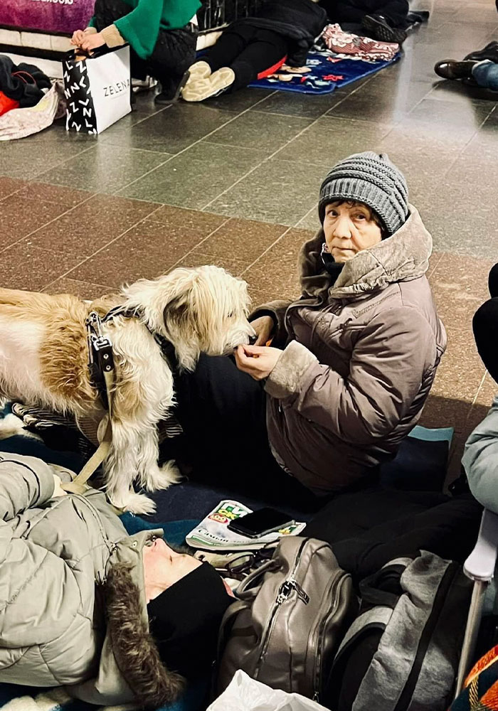 圖片截取自