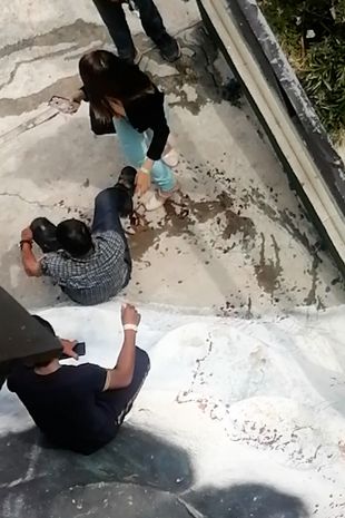 圖片截取自