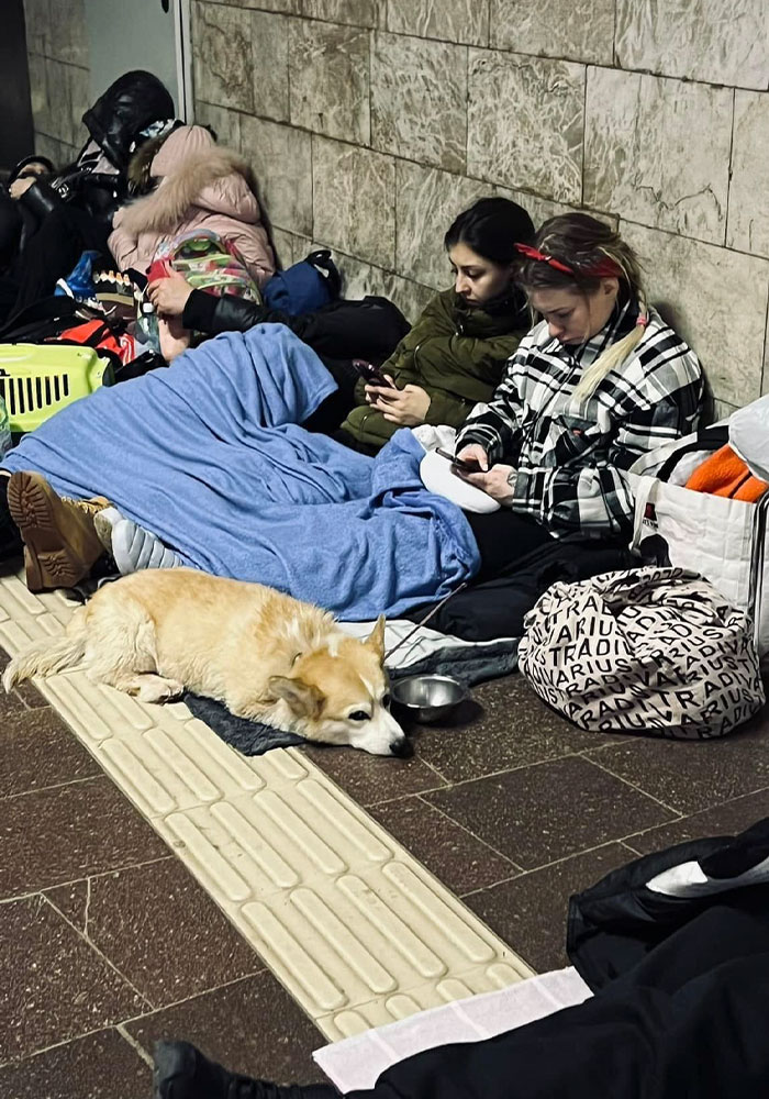 圖片截取自