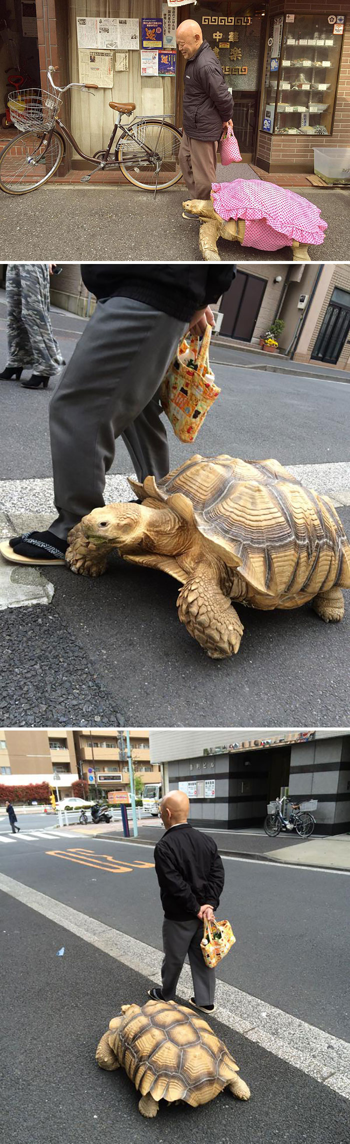圖片截取自