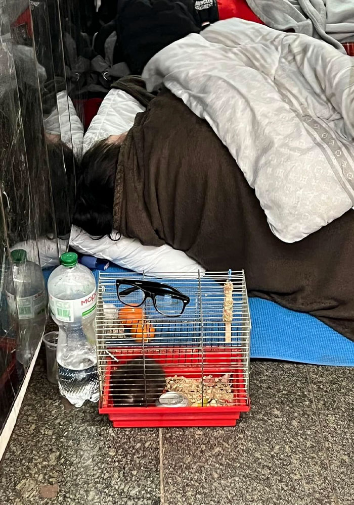 圖片截取自