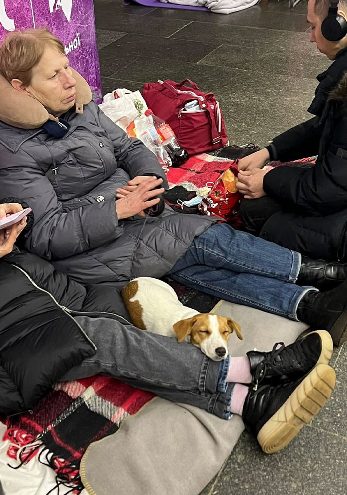 圖片截取自