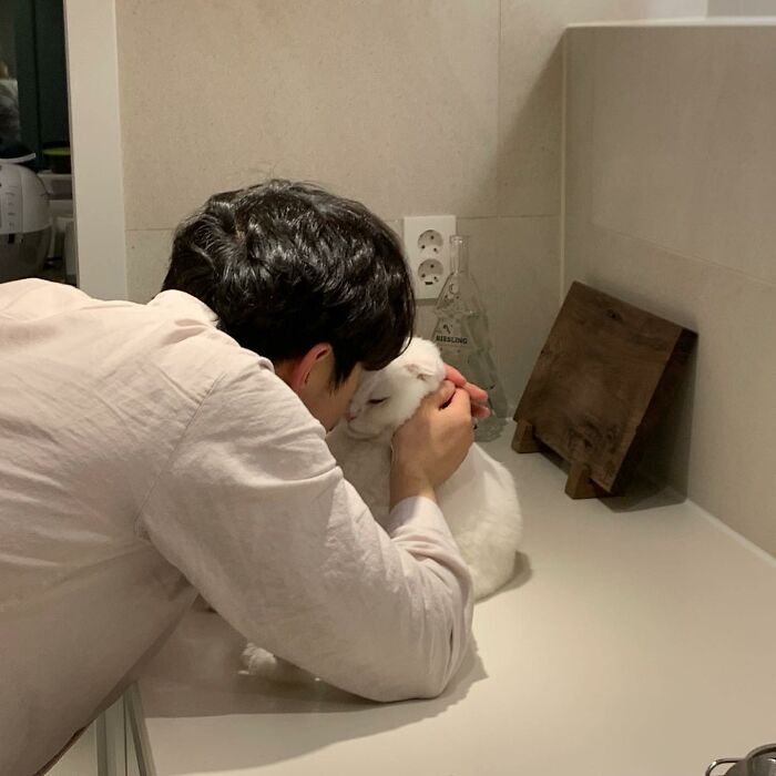 圖片截取自