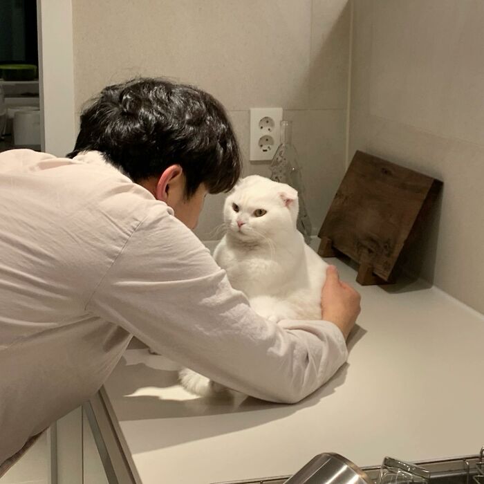 圖片截取自