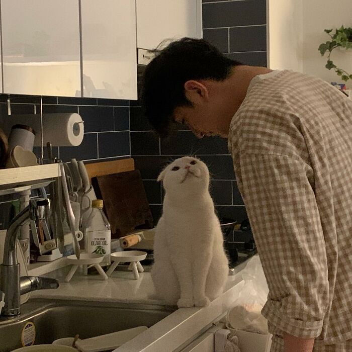 圖片截取自