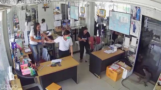 圖片截取自