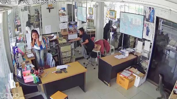 圖片截取自