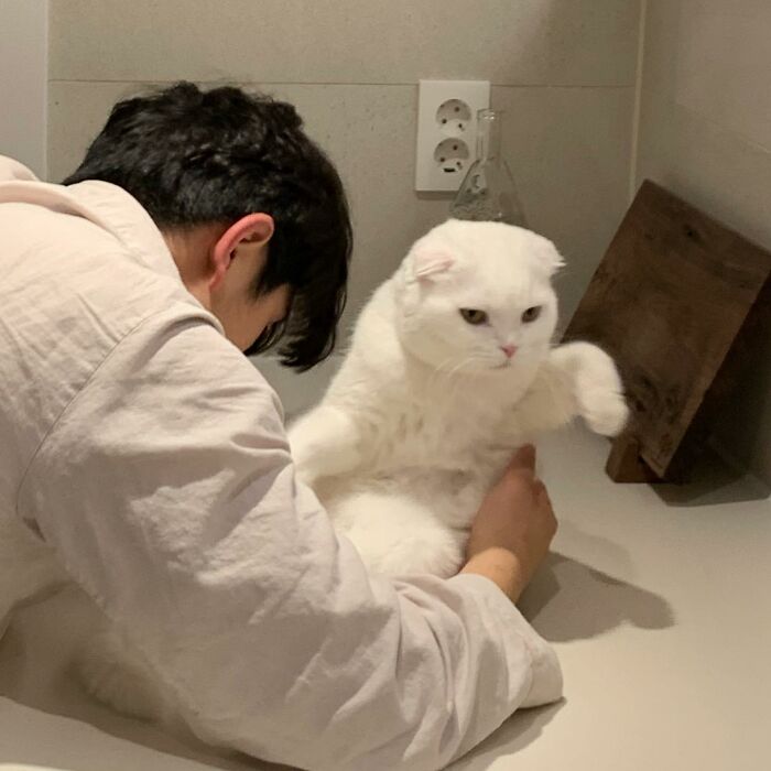圖片截取自