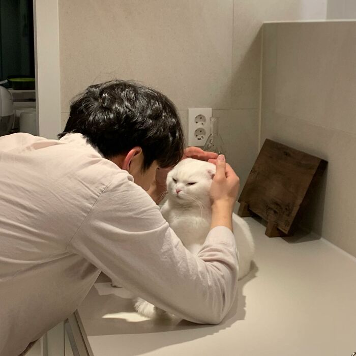 圖片截取自