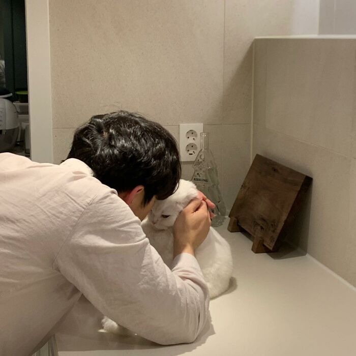 圖片截取自
