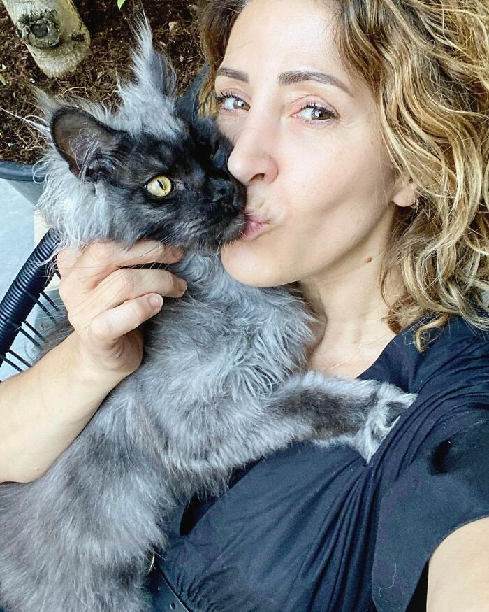 圖片截取自 richie_the_mainecoon_