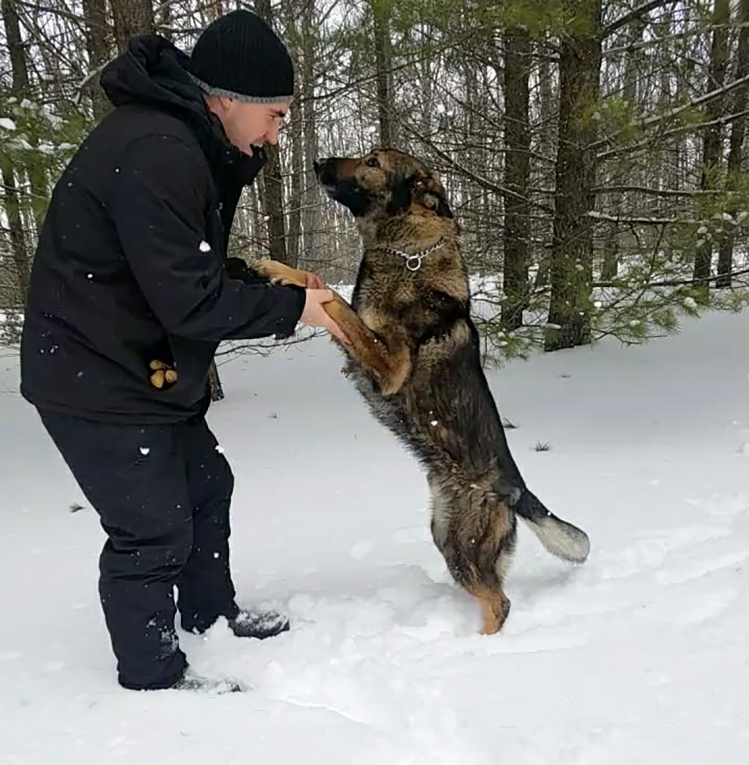 圖片截取自 Roscommon County Sheriff