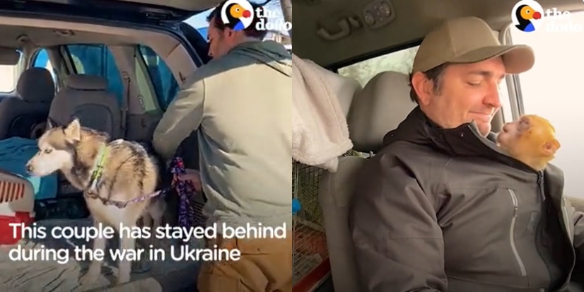 人間有情！烏克蘭情侶無畏戰火　堅持守護無家可歸的毛小孩