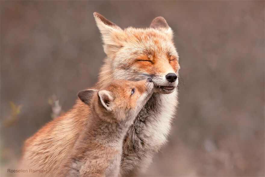 圖片截取自 Roeselienraimond.com