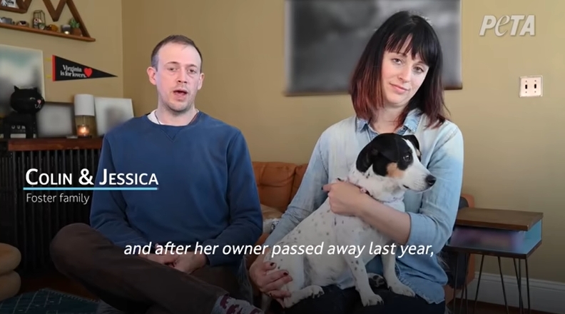 圖片截取自 PETA (People for the Ethical Treatment of Animals)/YouTube