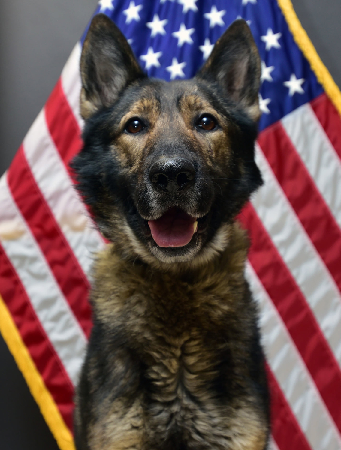圖片截取自 Roscommon County Sheriff
