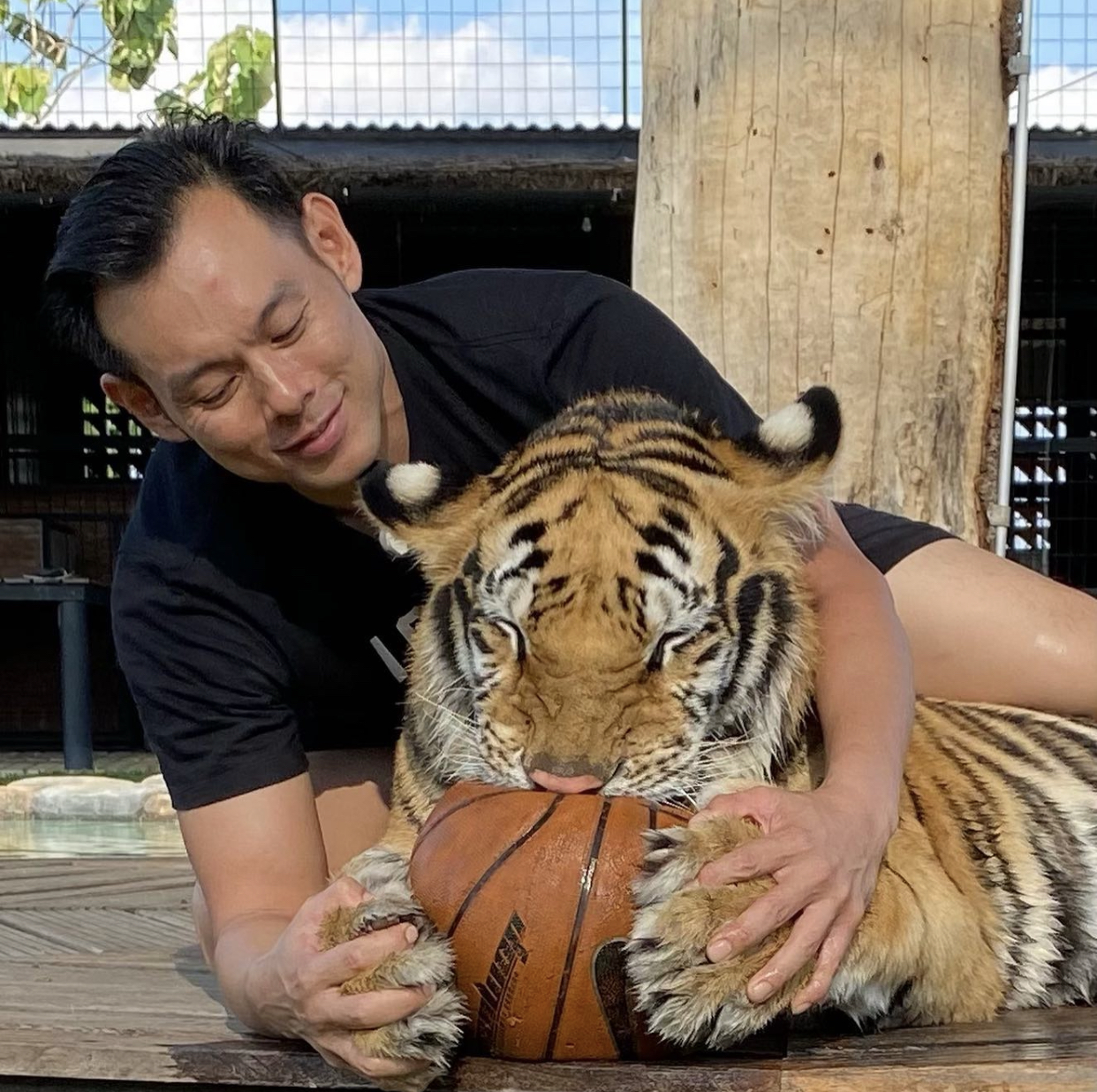 kenzo_thetiger