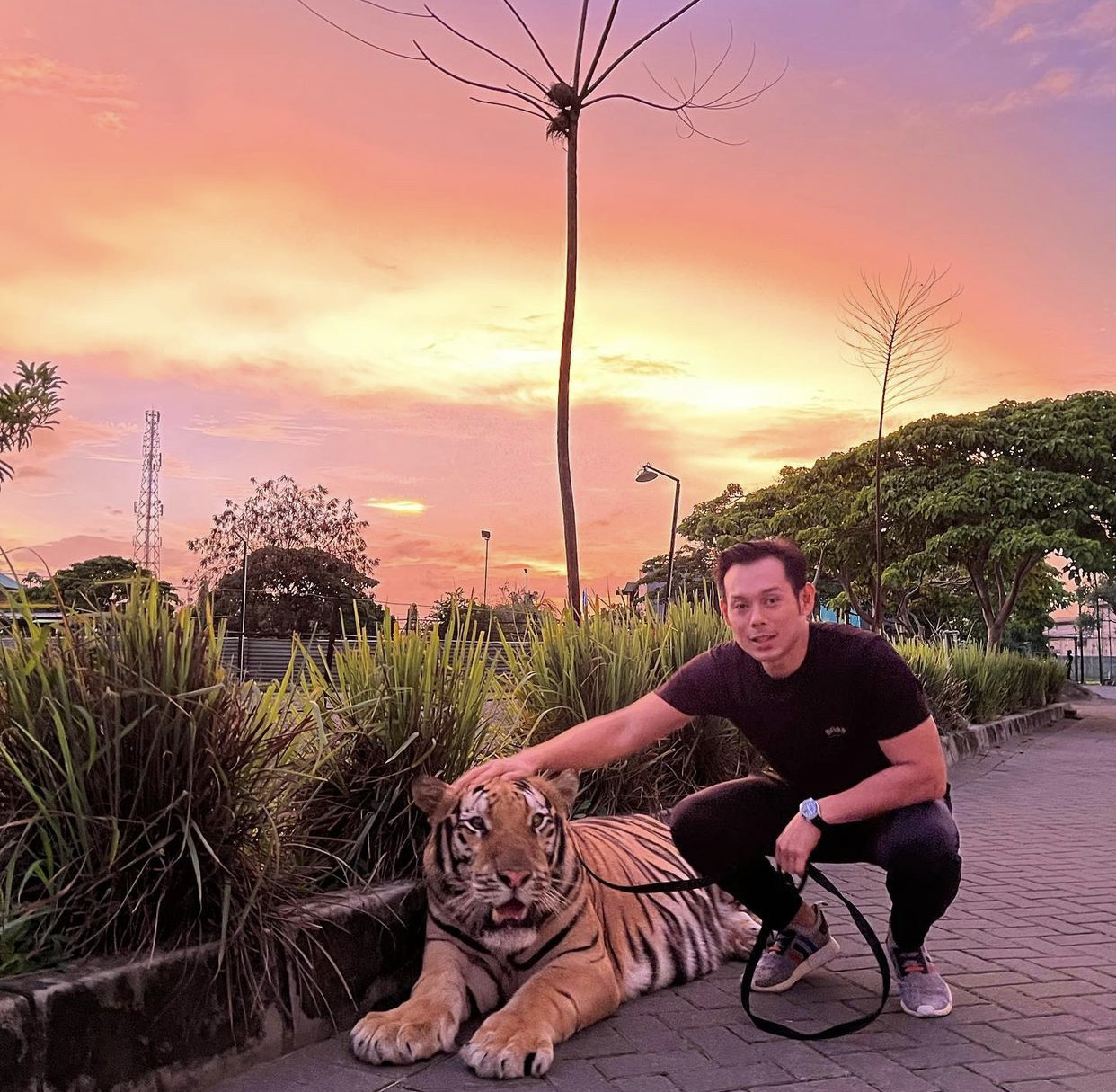 kenzo_thetiger 